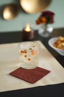 Tischsets>DUNI Bio cel®-Tischset 30 x 40 cm Linnea Cream