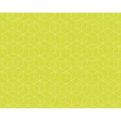 Tischsets>DUNI Bio cel®-Tischset 30 x 40 cm Graphics Kiwi