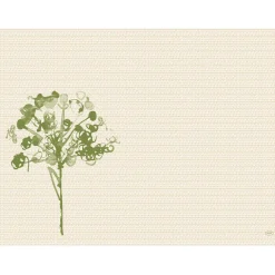 Tischsets>DUNI Bio cel®-Tischset 30 x 40 cm Green Umbles