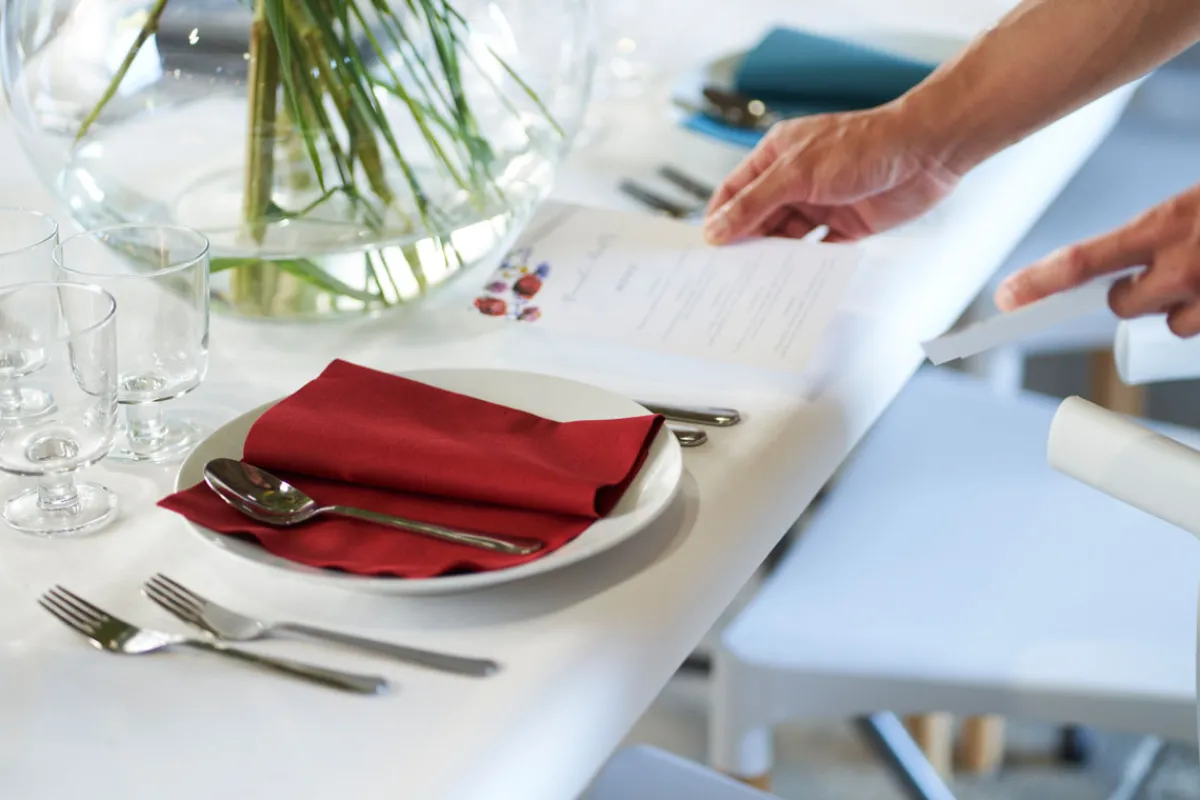 Servietten Im Dinnerformat>DUNI Bio soft® Serviette 40 x 40 cm Bordeaux