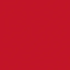 Cocktailservietten>DUNI Bio soft® Serviette 20 x 20 cm Rot