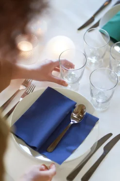 Servietten Im Dinnerformat>DUNI Bio soft® Serviette 40 x 40 cm Dunkelblau