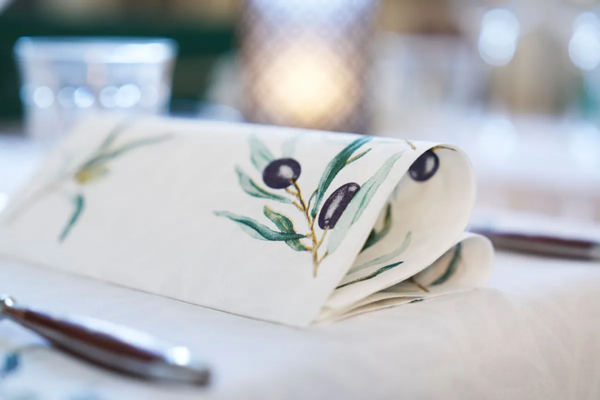 Servietten Im Dinnerformat>DUNI Bio soft® Serviette 40 x 40 cm Olive Garden