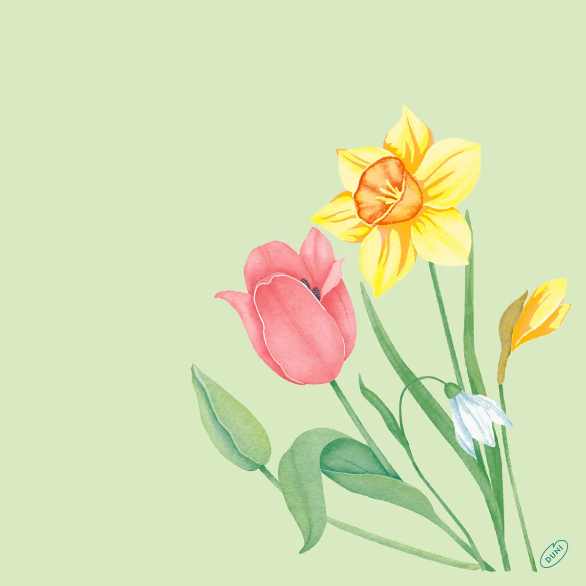 Servietten Im Dinnerformat>DUNI Bio soft® Serviette 40 x 40 cm Spring Melody