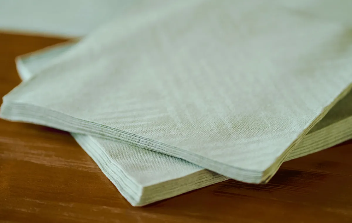 Servietten Im Dinnerformat>DUNI Bio soft® Serviette 40 x 40 cm Loom