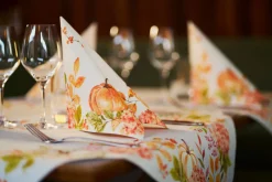 Servietten Im Dinnerformat>DUNI Bio soft® Serviette 40 x 40 cm Spicy Pumpkin