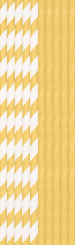 Strohhalme>DUNI Bio Papier-Trinkhalme 20 cm x Ø 6 mm Gold & White