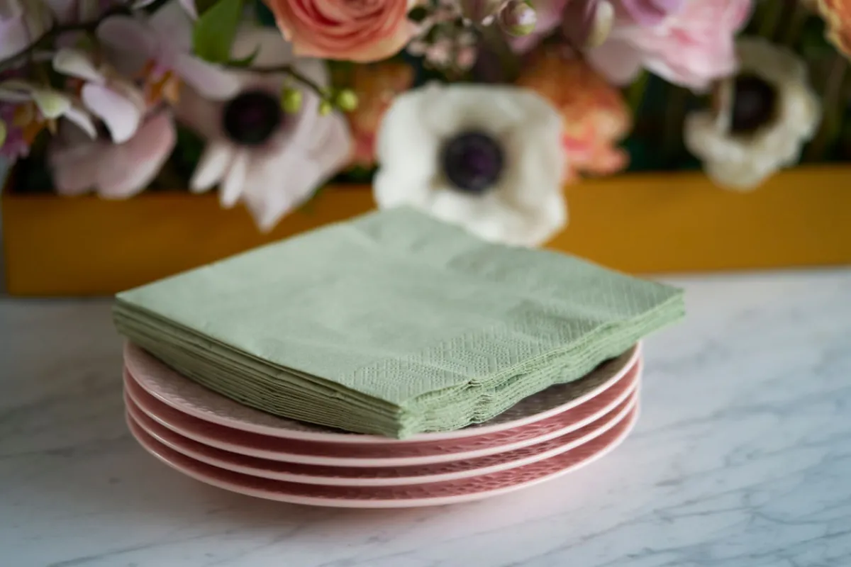 Servietten Im Lunchformat>DUNI Bio Tissue-Serviette 33 x 33 cm Pistaziengrün 3-lagig