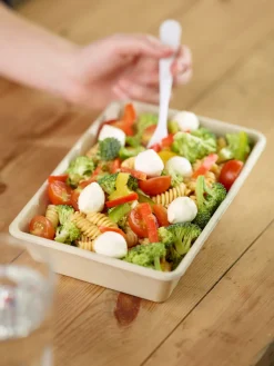 Boxen>DUNI Box Bagasse 850 ml Braun ungeteilt