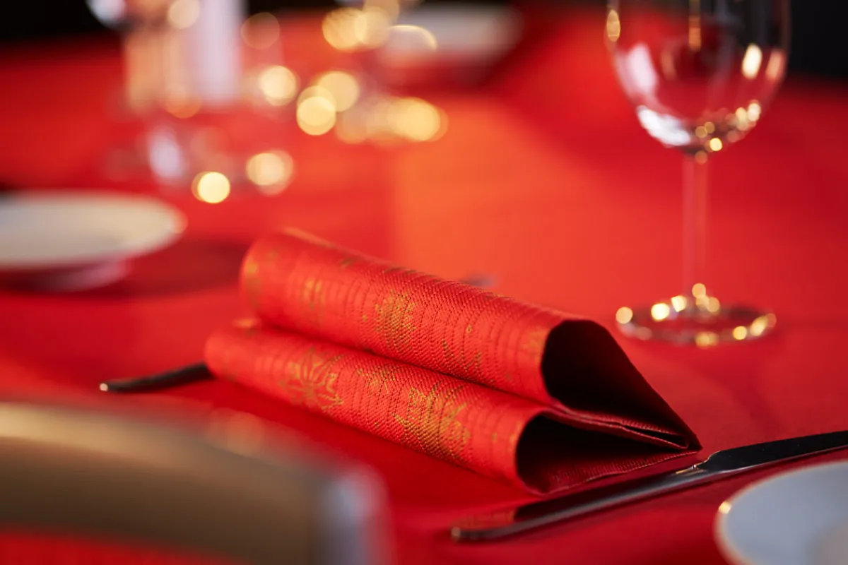 Servietten Im Dinnerformat>DUNI Classic-Serviette 40 x 40 cm Stargazing Red