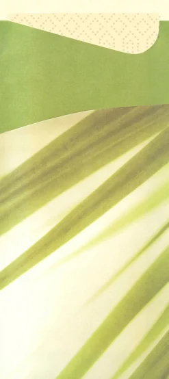 Bestecktaschen>DUNI Sacchetto®, Serviettentaschen, Tissue 8,5 x 19 cm Bamboo