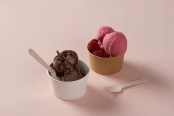 Holzbesteck>DUNI Eislöffel 9,5 cm Natürlich