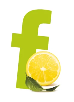 Feuchttücher>DUNI Erfrischungstücher 7,1 x 5,1 cm Fresh Green