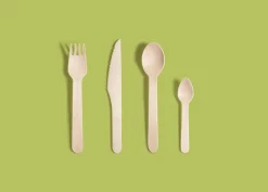 Holzbesteck>DUNI Gabel 160 mm Natürlich