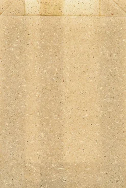 Take-Away-Taschen>DUNI Graspapier-Tüte, Bloom Mini 175 x 120 mm Nature