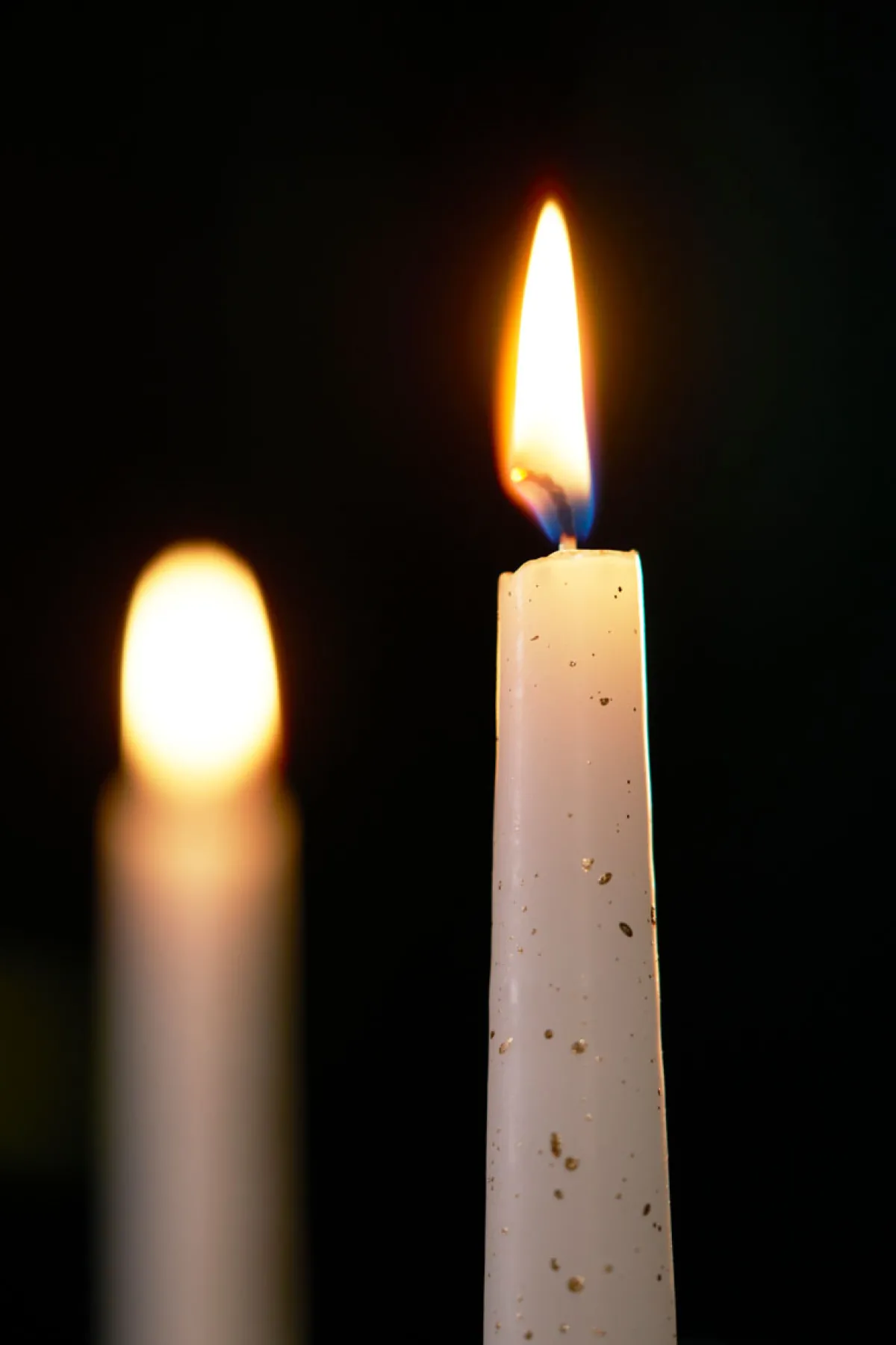 Stabkerzen>DUNI Leuchterkerzen 240 x Ø 22 mm 7,5 Std. Weiß