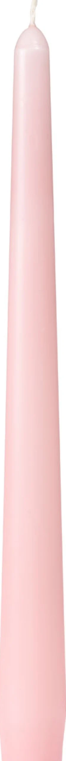 Stabkerzen>DUNI Leuchterkerzen, getaucht 245 x Ø 22 mm 7,5 Std. Mellow Rose