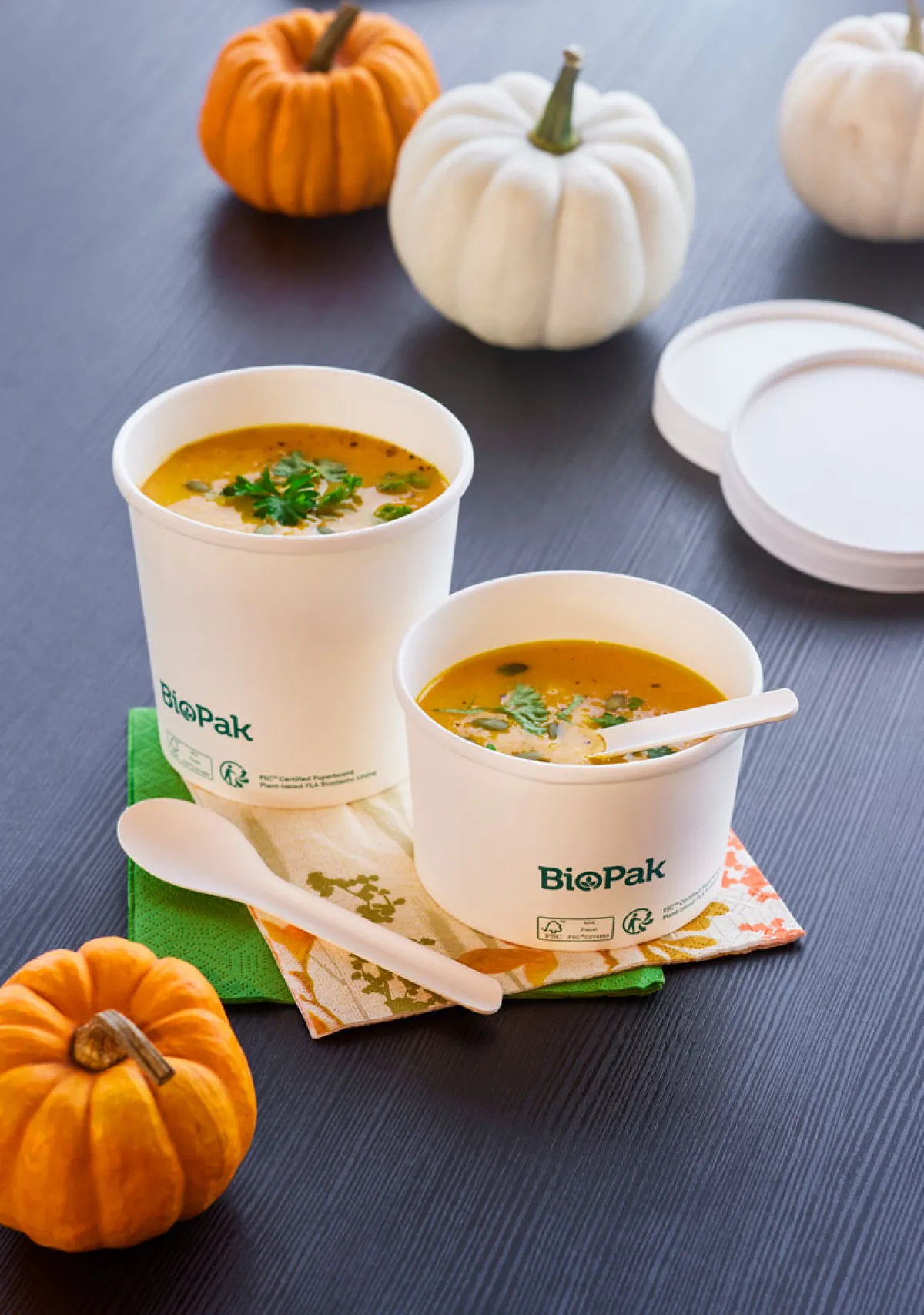 Papierbesteck>DUNI Pluma Löffel 15 cm Weiß