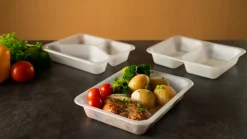 Siegelschalen>DUNIFORM PP-Schale Caterline 227 x 178 x 40 mm Transparent 3-Teilung