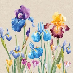 Servietten Im Lunchformat>PAPER + DESIGN Recycling-Tissue Serviette 33 x 33 cm Iris 2-lagig