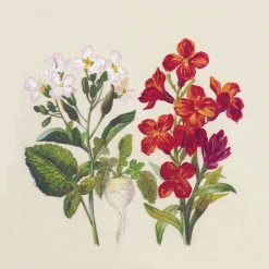 Cocktailservietten>PAPER + DESIGN Recycling-Tissue Serviette 24 x 24 cm Botanical 2-lagig