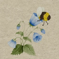 Cocktailservietten>PAPER + DESIGN Recycling-Tissue Serviette 24 x 24 cm Bee Flowerfull 2-lagig