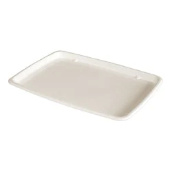 Frischetabletts>DUNI Servierplatte, Bagasse 285 x 203 x 15 mm Weiß