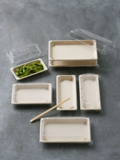 Boxen>DUNI Sushi Deckel Large 500 ml Transparent