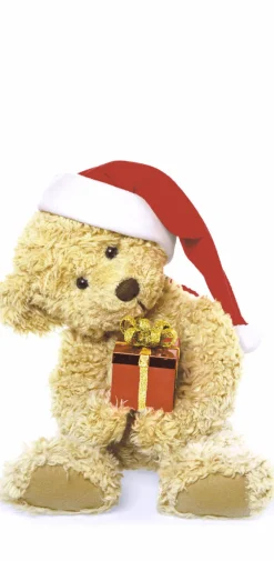 Kosmetiktücher>PAPER + DESIGN Taschentücher 21,5 x 22 cm Cute Xmas