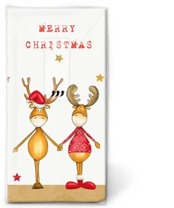 Kosmetiktücher>PAPER + DESIGN Taschentücher 21,5 x 22 cm Two Friends