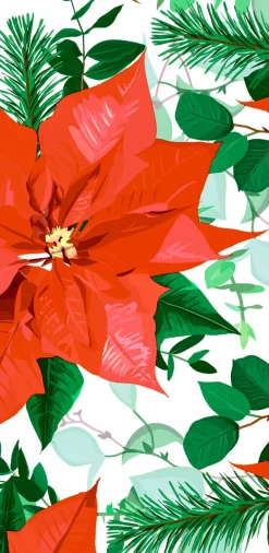 Kosmetiktücher>PAPER + DESIGN Taschentücker 21,5 x 22 cm Floral Christmas