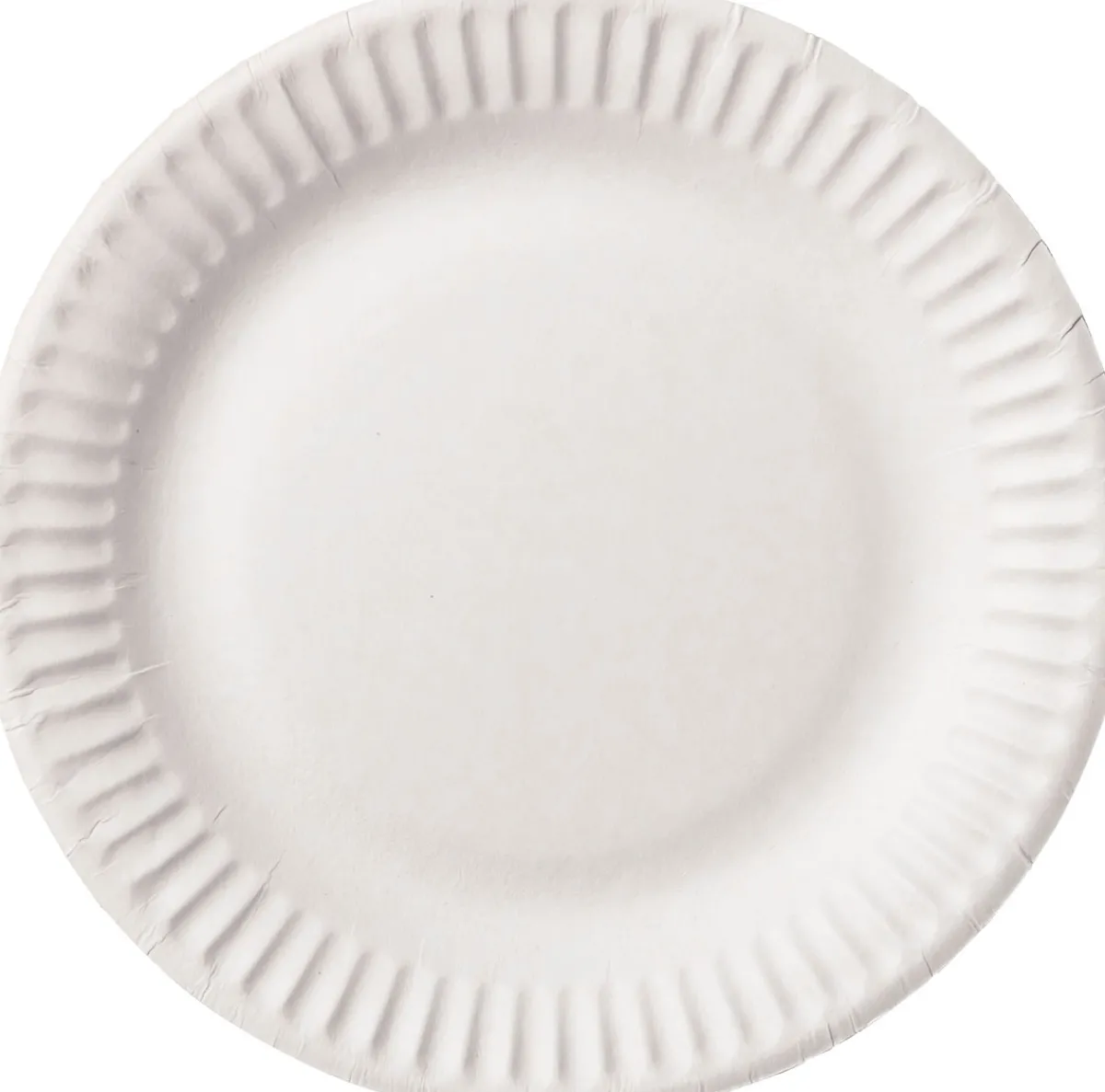 Pappteller- Und Schalen>DUNI Teller Ø 15 cm Weiß