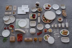 Bagasse Teller & Schalen>DUNI Teller oval Ø 26 cm Weiß