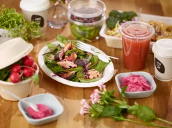 Bagasse Teller & Schalen>DUNI Teller, oval Braun 32 cm Weiß