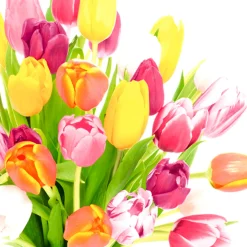 Servietten Im Lunchformat>PAPER + DESIGN Tissue-Serviette 33 x 33 cm Beautiful Tulips 3-lagig