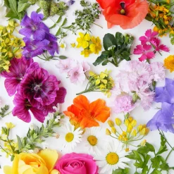 Servietten Im Lunchformat>PAPER + DESIGN Tissue-Serviette 33 x 33 cm Bloom Canvas 3-lagig