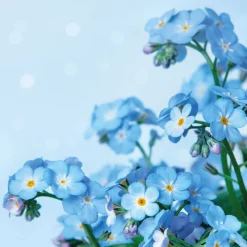 Cocktailservietten>PAPER + DESIGN Tissue-Serviette 24 x 24 cm Blue Dream 3-lagig