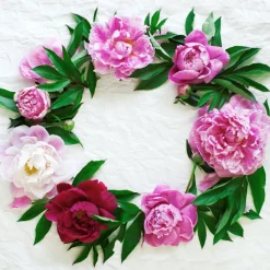 Servietten Im Lunchformat>PAPER + DESIGN Tissue-Serviette 33 x 33 cm Blossom wreath 3-lagig