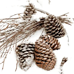 Servietten Im Lunchformat>PAPER + DESIGN Tissue-Serviette 33 x 33 cm Cones In Snow 3-lagig