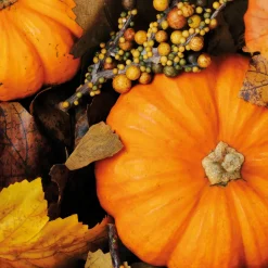 Servietten Im Lunchformat>PAPER + DESIGN Tissue-Serviette 33 x 33 cm Fall Pumpkins 3-lagig
