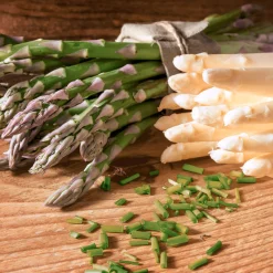 Servietten Im Lunchformat>PAPER + DESIGN Tissue-Serviette 33 x 33 cm Fresh Asparagus 3-lagig