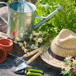 Servietten Im Lunchformat>PAPER + DESIGN Tissue-Serviette 33 x 33 cm Gardencraft 3-lagig