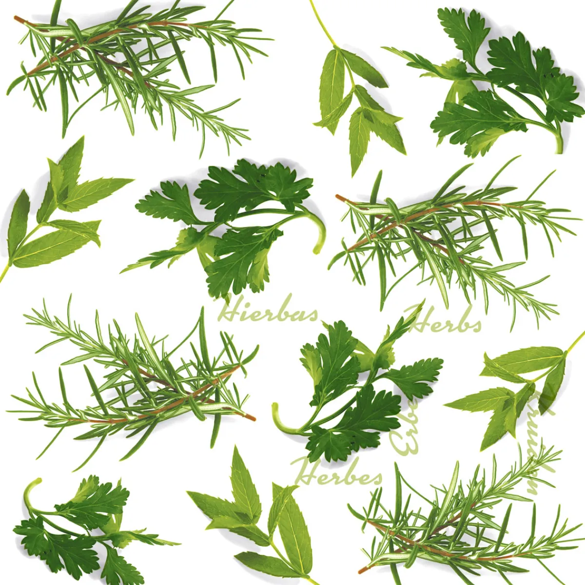 Servietten Im Lunchformat>PAPER + DESIGN Tissue-Serviette 33 x 33 cm Herbs 3-lagig