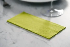 Vorgefaltete Servietten>DUNI Tissue-Serviette 33 x 33 cm Kiwi 2-lagig