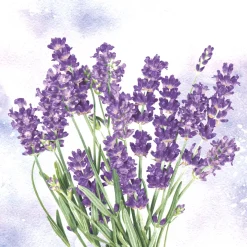 Servietten Im Lunchformat>PAPER + DESIGN Tissue-Serviette 33 x 33 cm Lavender oasis 3-lagig