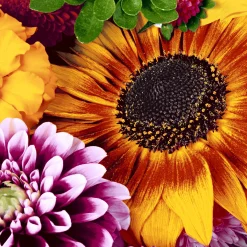 Servietten Im Lunchformat>PAPER + DESIGN Tissue-Serviette 33 x 33 cm Late Summer 3-lagig