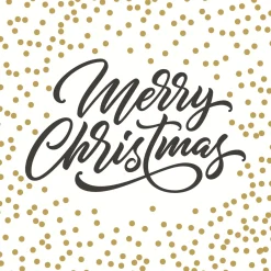 Servietten Im Lunchformat>PAPER + DESIGN Tissue-Serviette 33 x 33 cm Merry Dots 3-lagig