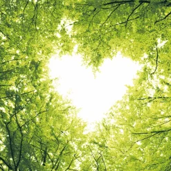 Servietten Im Lunchformat>PAPER + DESIGN Tissue-Serviette 33 x 33 cm Nature Love 3-lagig