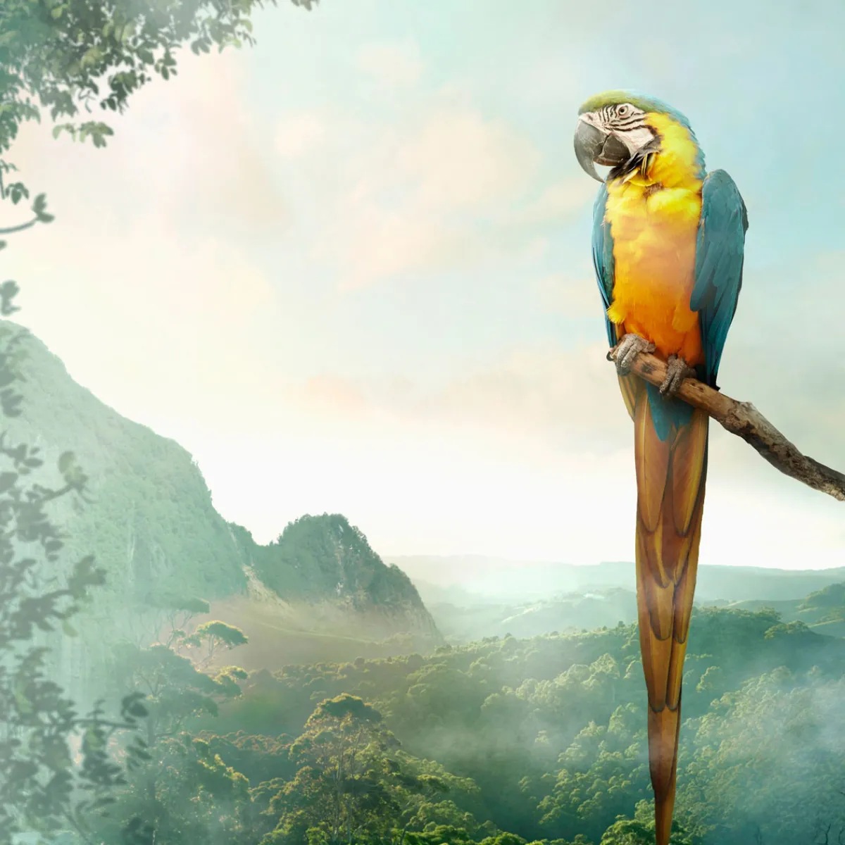 Servietten Im Lunchformat>PAPER + DESIGN Tissue-Serviette 33 x 33 cm Parrot 3-lagig