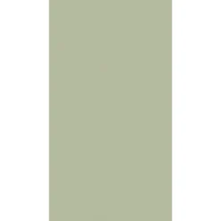 Vorgefaltete Servietten>DUNI Tissue-Serviette 40 x 40 cm Pistaziengrün 3-lagig